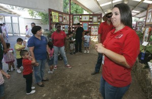 Kings Fair 2011